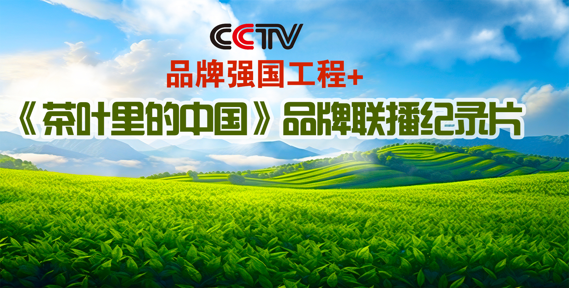 茶叶里的中国.jpg