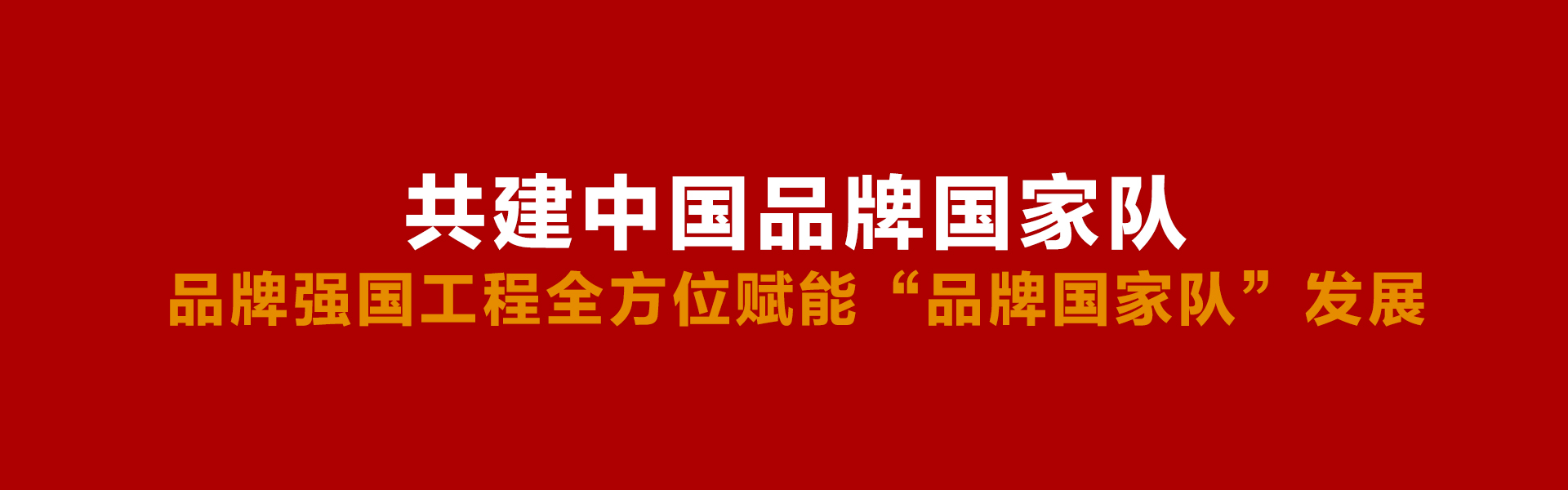 中国品牌国家队-品牌强国工程.jpg